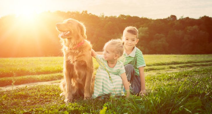 Why Pets are Good for Kids