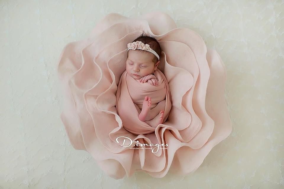 D Images - Photography by Deanna M - Photography