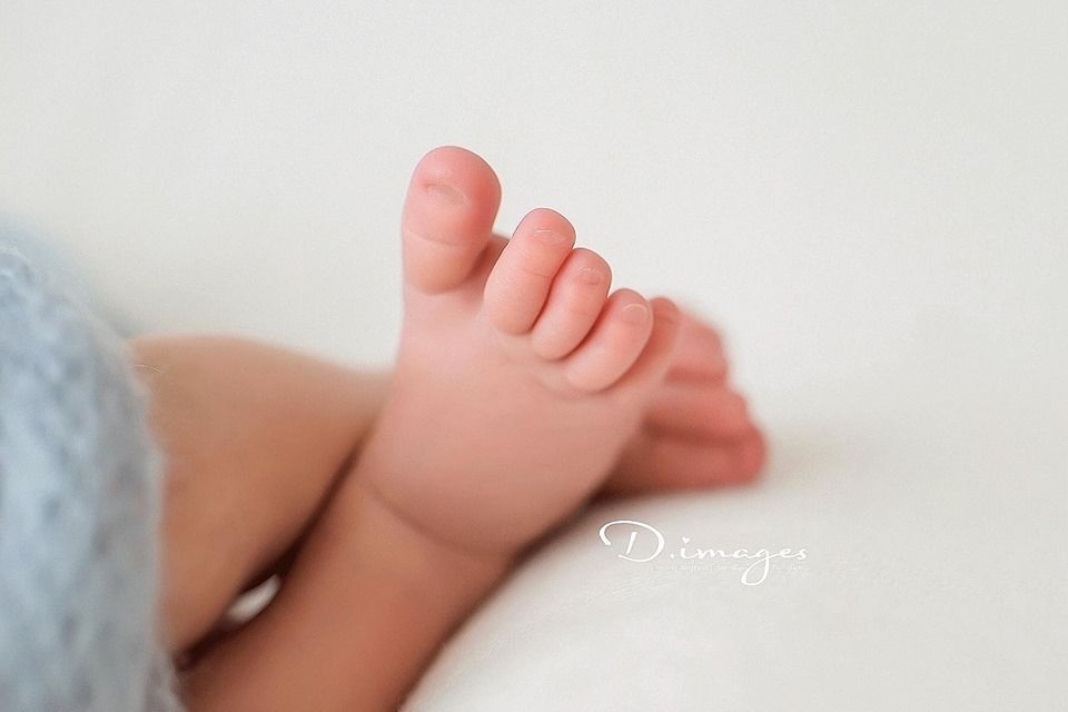 D Images - Photography by Deanna M