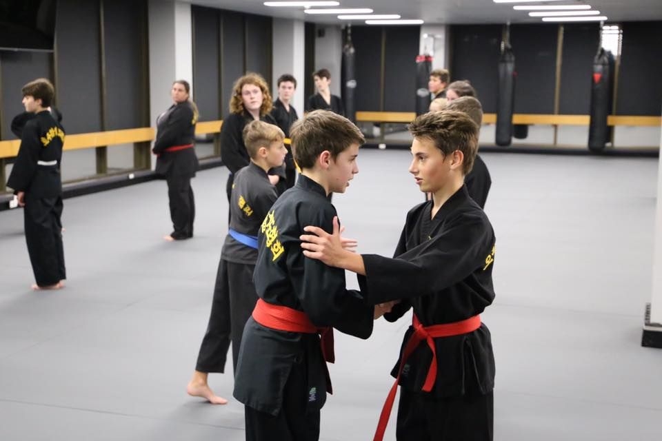 Northern Beaches HapKiDo - Classes and Lessons