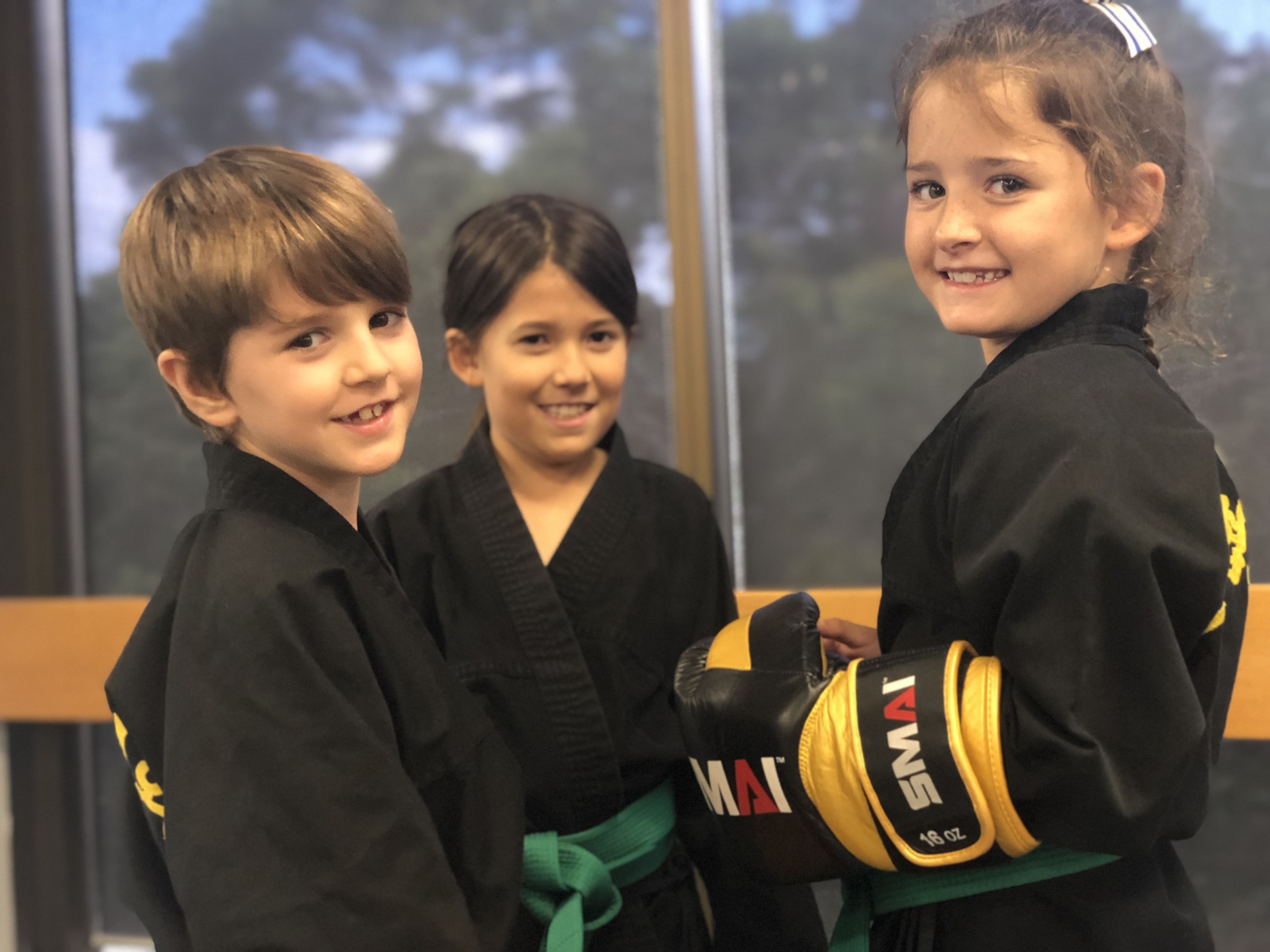 Northern Beaches HapKiDo - Martial Arts