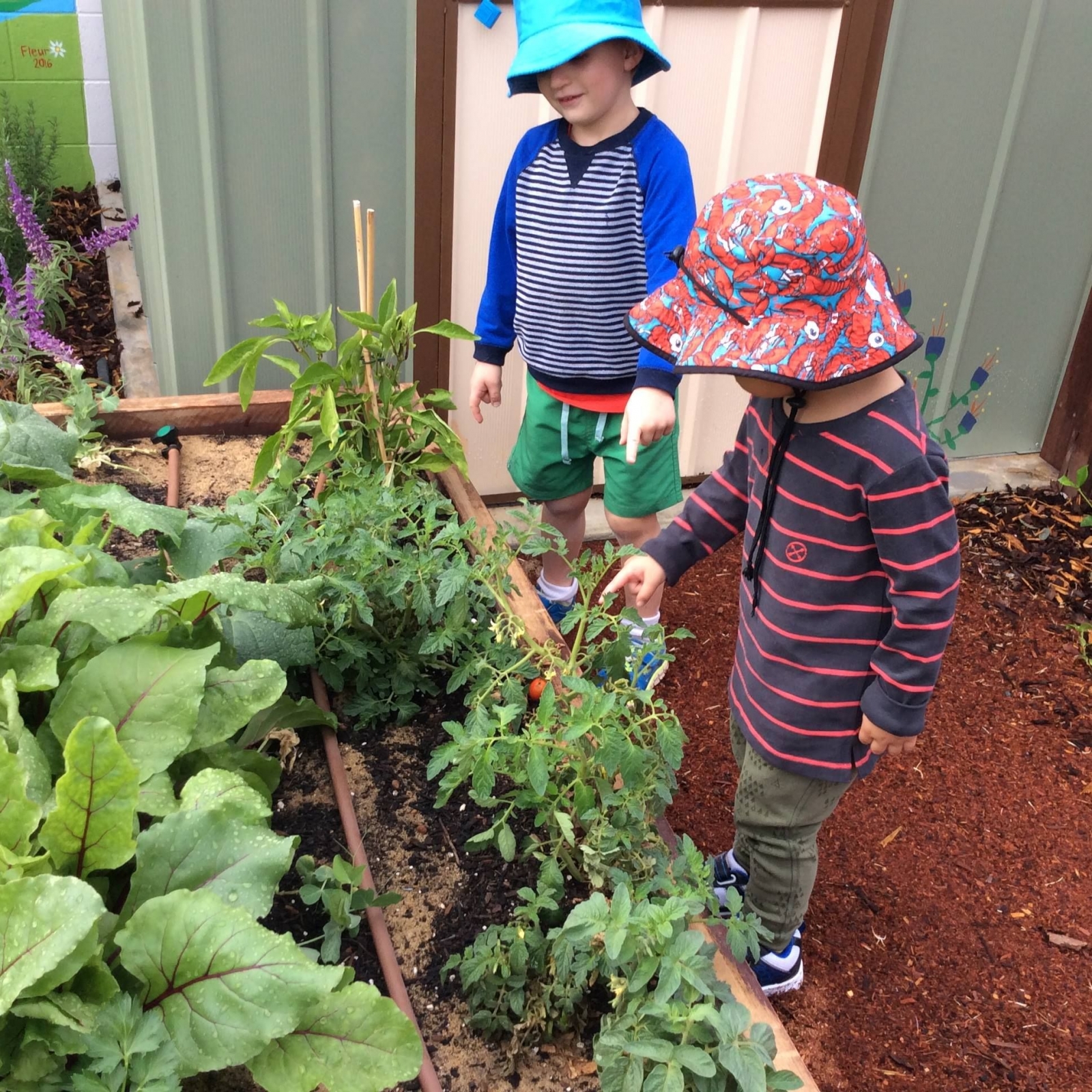 Leap Start Early Learning Child Care