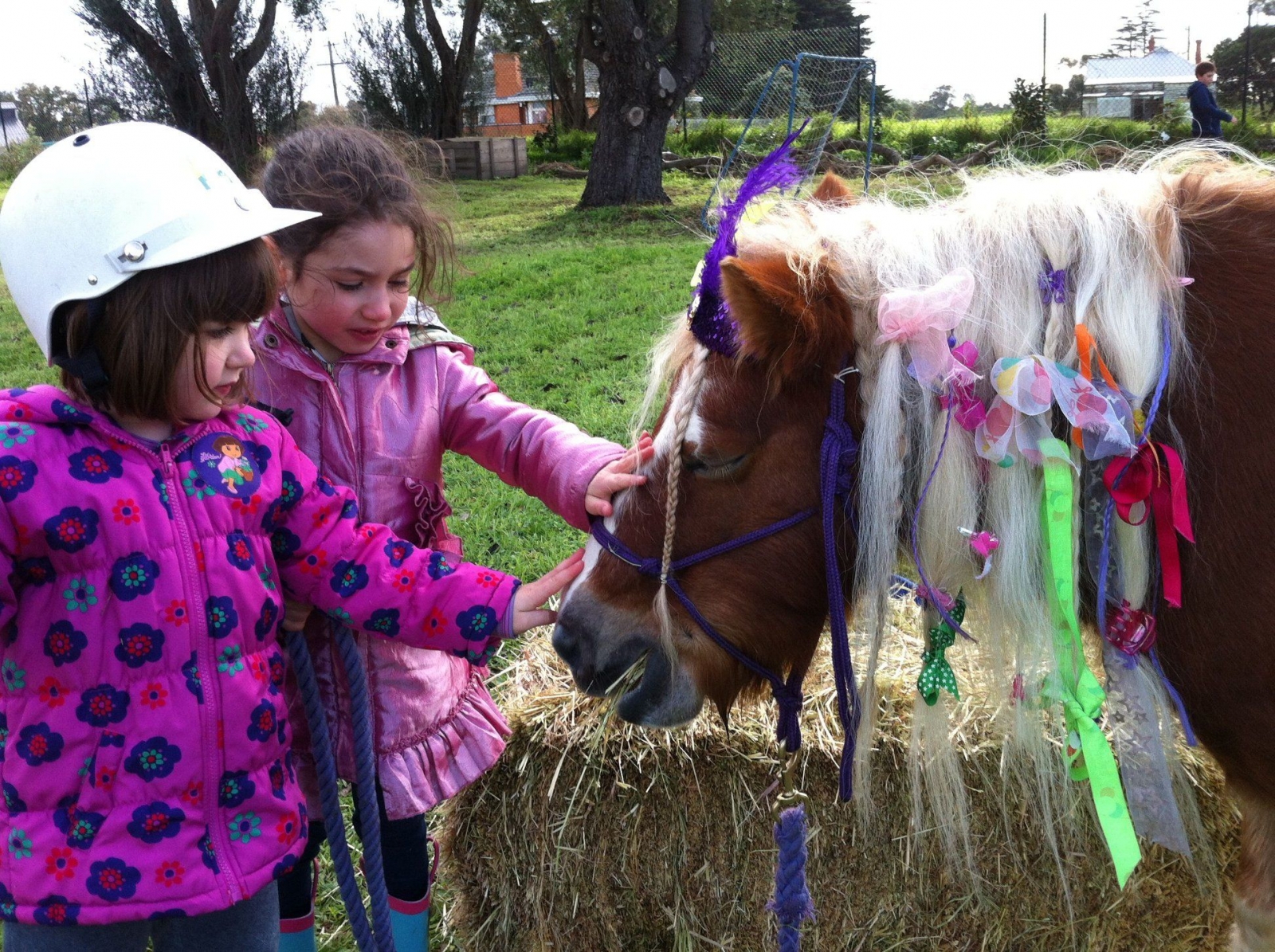 Melbourne's Pony Parties, Kinglake Vic 3763