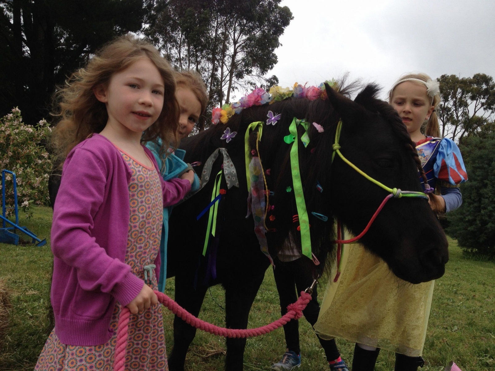 School Holiday Activities and Workshops | Melbourne's Pony Parties