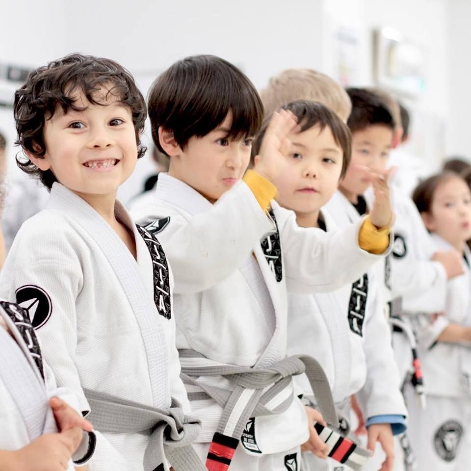 Sydney Jiu Jitsu Academy