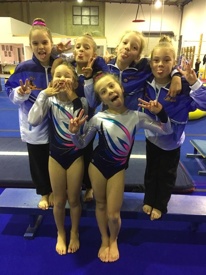 Wildcats Gymnastics